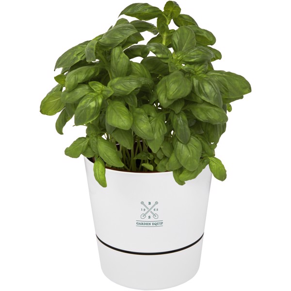 Herbs single kitchen pot - White