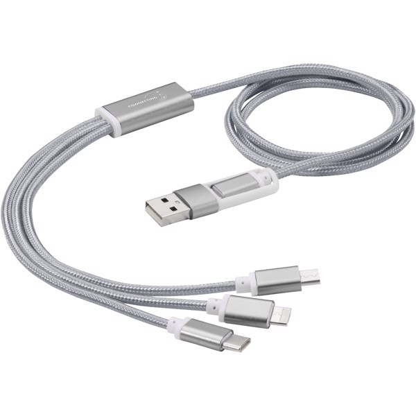 Versatile 5-in-1 charging cable - Silver