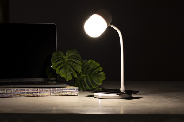 Multifunction Lamp Lerex