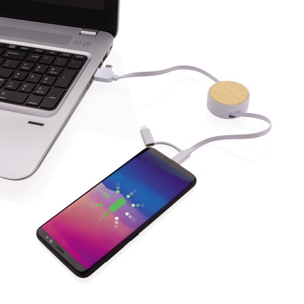 Ontario 6-in-1 retractable cable