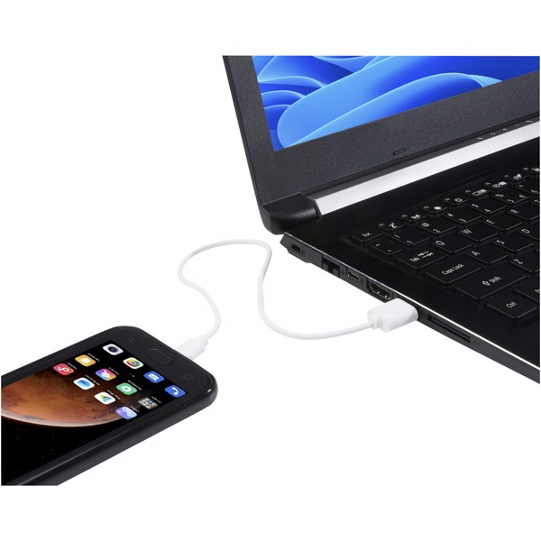 USB-A to Type-C TPE 2A cable