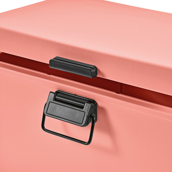 Bangkok Cooler - Salmon