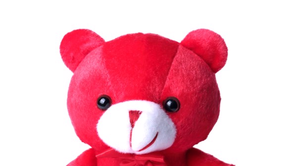 Teddy Arohax - White