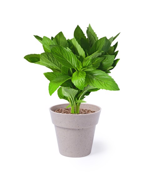 Flowerpot Set Nertel