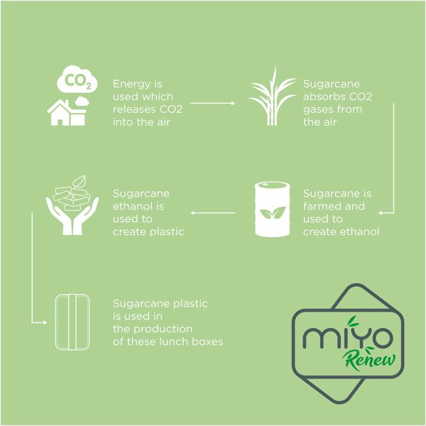 MIYO Renew 700 ml single layer lunch box - Pebble Grey / White