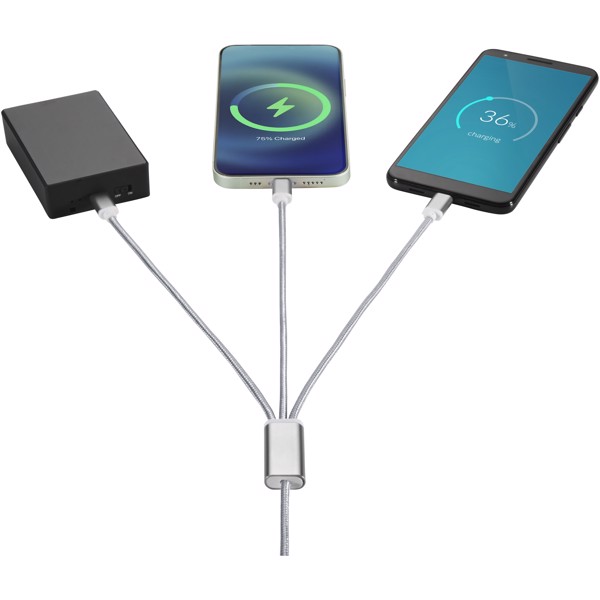 Versatile 5-in-1 charging cable - Silver