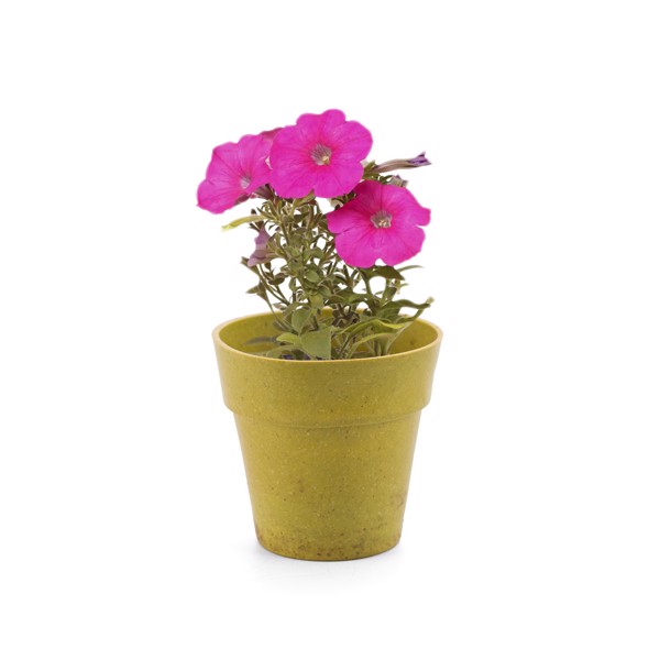Flowerpot Advert - Red