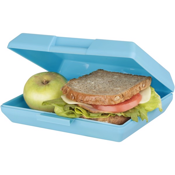 Oblong lunch box