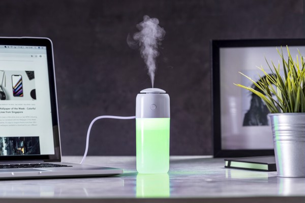 Humidifier Trudy