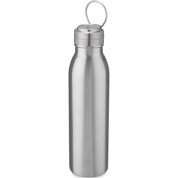 Harper 700 ml stainless steel water bottle with metal loop - Silver