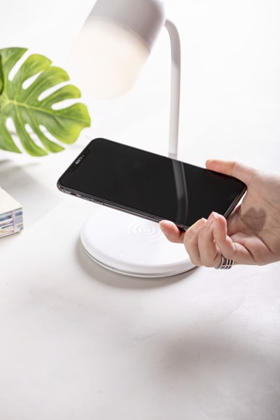 Multifunction Lamp Lerex