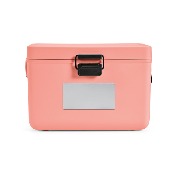 Bangkok Cooler - Salmon