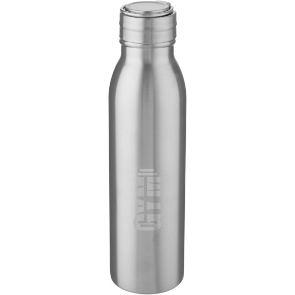 Harper 700 ml stainless steel water bottle with metal loop - Silver