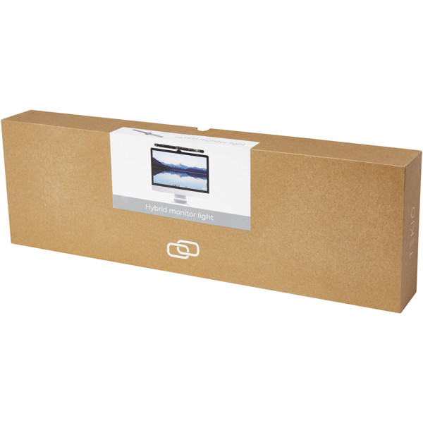 Hybrid monitor light