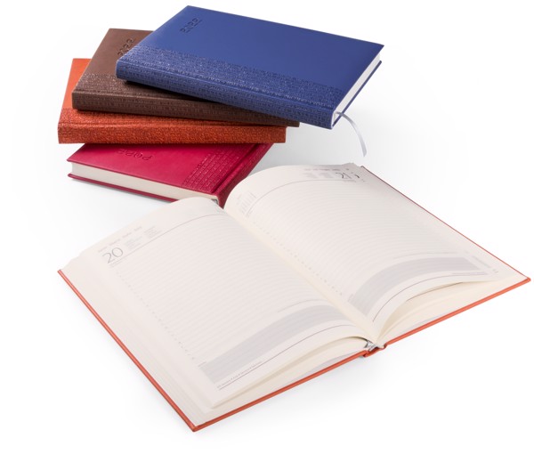 Diary Toulouse - Brown