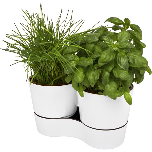 Herbs twin kitchen pot - White