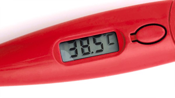 Digital Thermometer Kelvin - White
