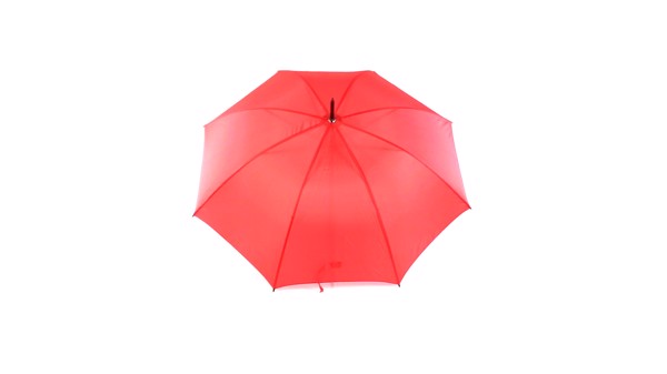 Umbrella Altis - White