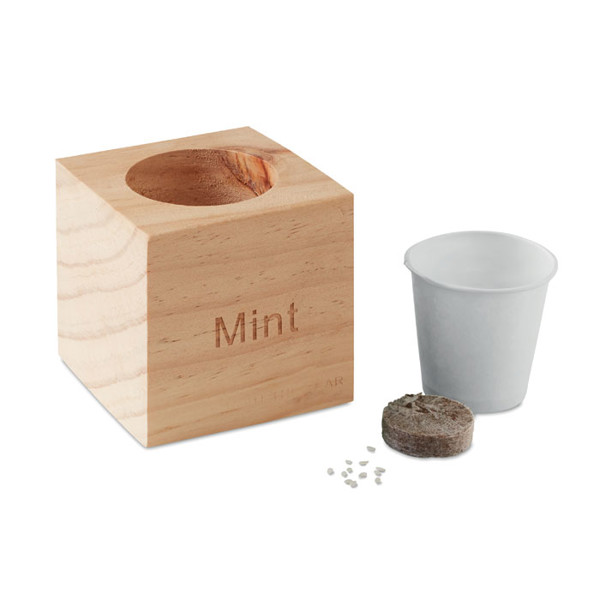Herb pot wood "MINT" Menta