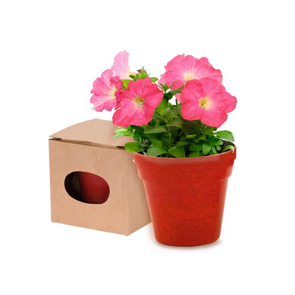 Flowerpot Advert - Red