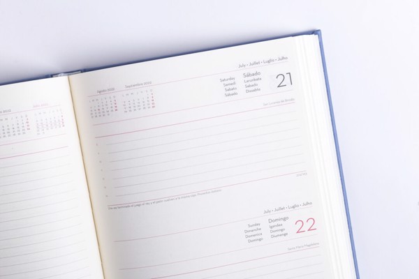 Diary Toulouse - Brown