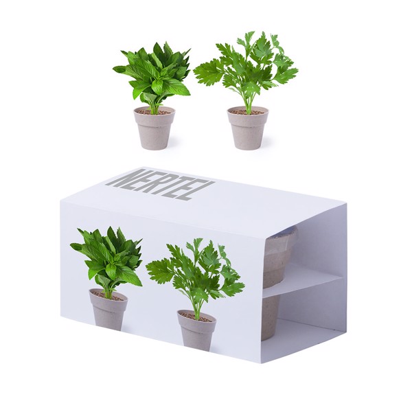 Flowerpot Set Nertel
