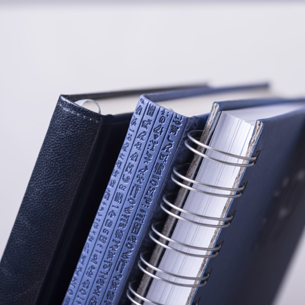 Diary Toulouse - Brown