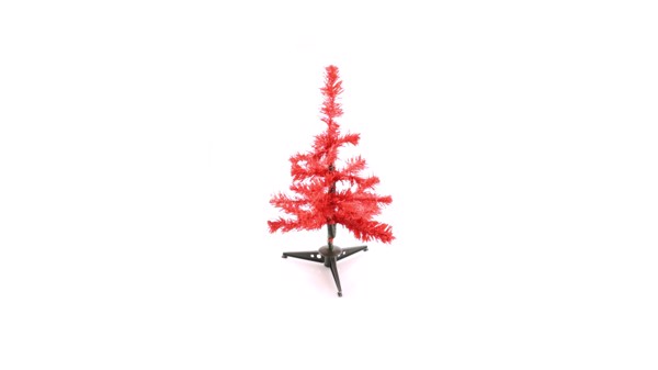 Christmas Tree Pines - White