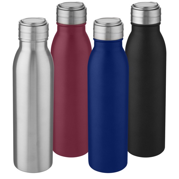 Harper 700 ml stainless steel water bottle with metal loop - Silver