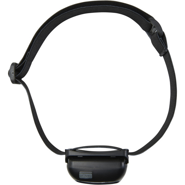 Ray rechargeable headlight