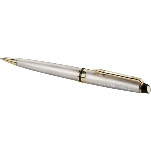 Waterman Expert ballpoint pen (blue ink) - Steel / Gold