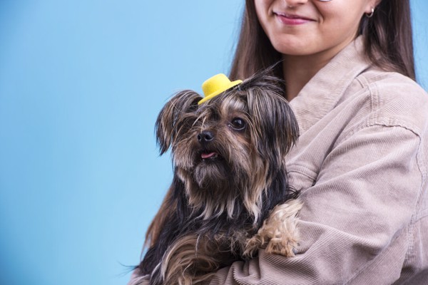 Hair Clip Tauron - Yellow