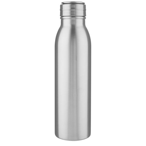 Harper 700 ml stainless steel water bottle with metal loop - Silver