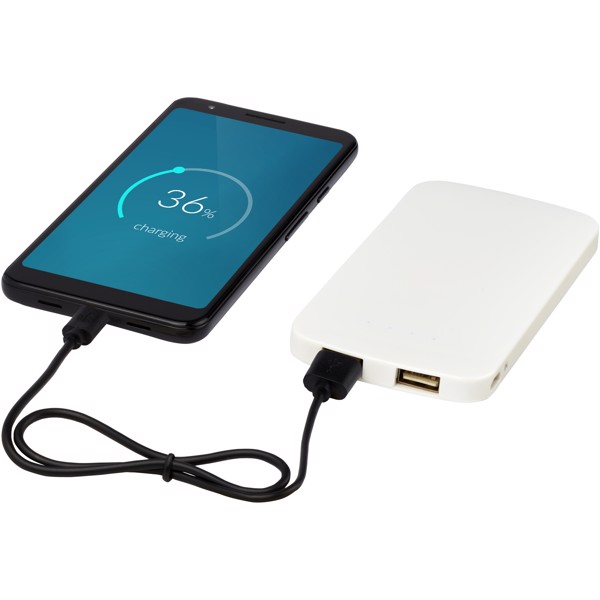 Zippy 4000 mAh slim dual power bank