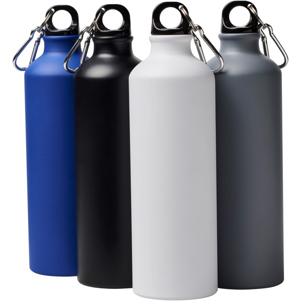 Oregon 770 ml matte water bottle with carabiner - Grey