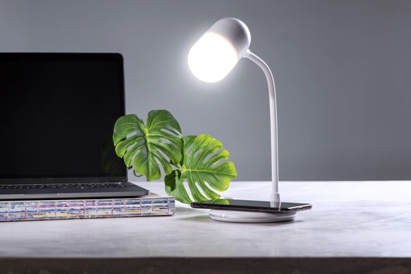 Multifunction Lamp Lerex