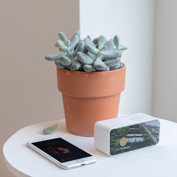 DJ wireless speaker - White