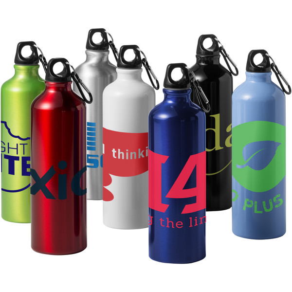 Oregon 770 ml aluminium water bottle with carabiner - Red