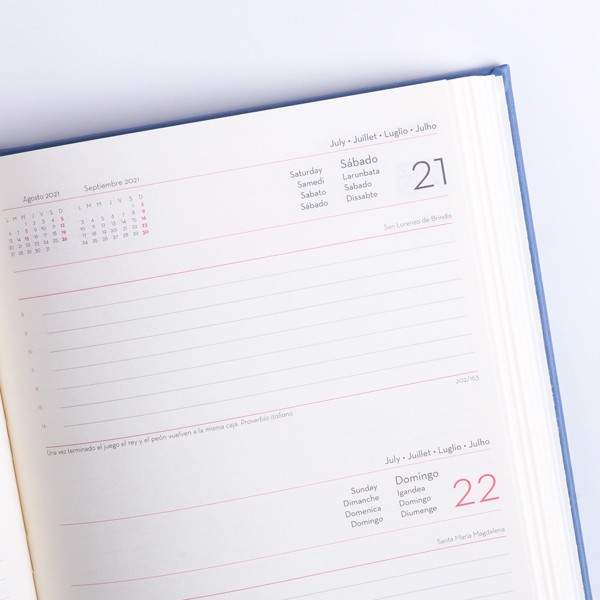 Diary Toulouse - Brown