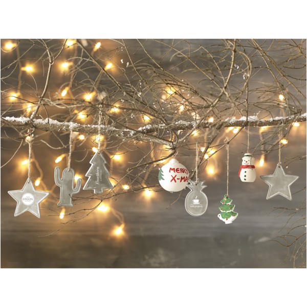 Seasonal star ornament