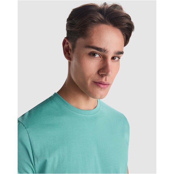 Stafford short sleeve men's t-shirt - Rossette / roly-M