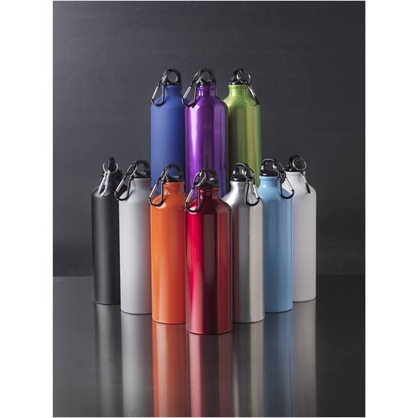 Oregon 770 ml matte water bottle with carabiner - Grey