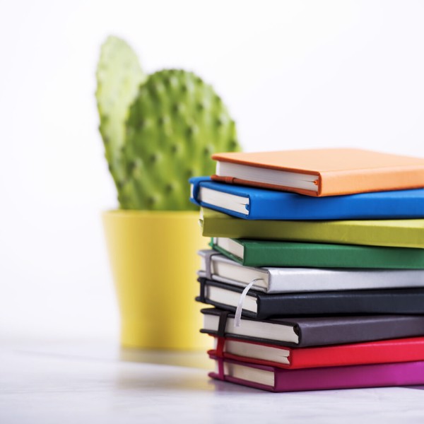 Notepad Kine - Silver