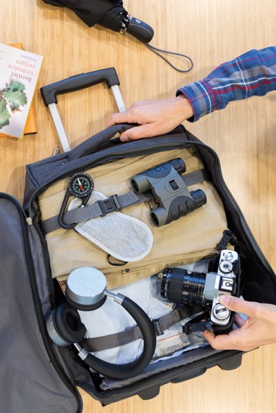 Two tone foldable trolley