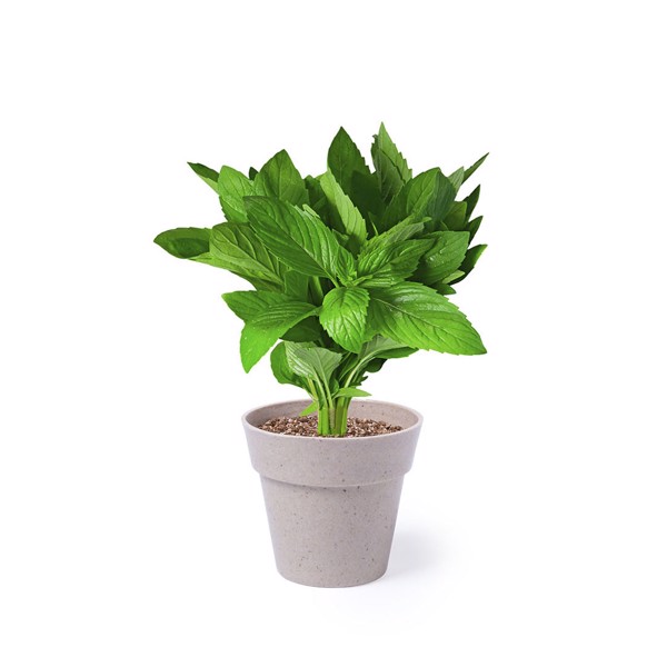 Flowerpot Set Nertel