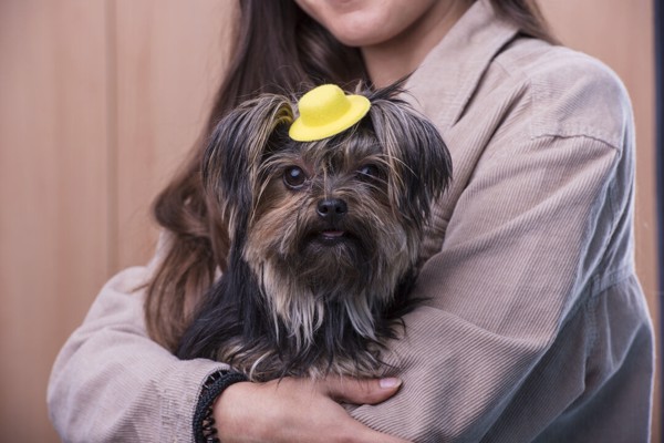 Hair Clip Tauron - Yellow