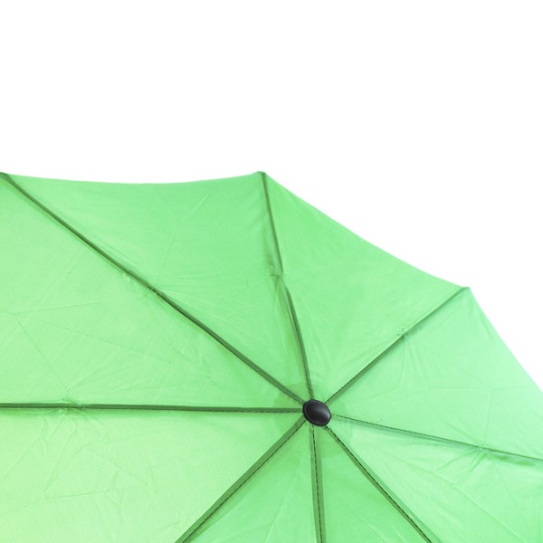 Umbrella Mint - Black