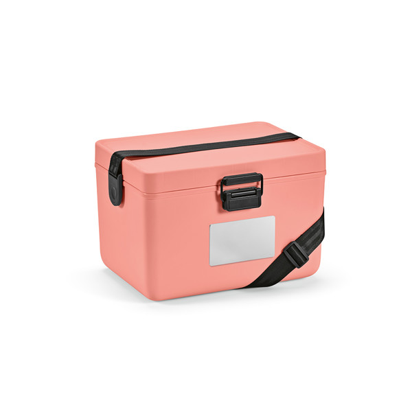 Bangkok Cooler - Salmon