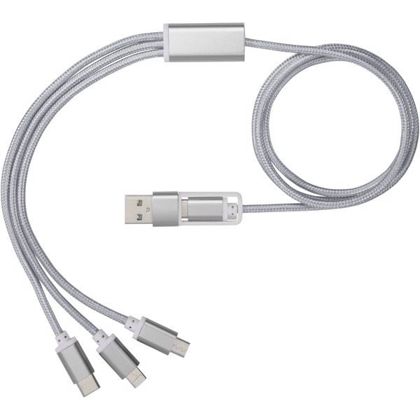 Versatile 5-in-1 charging cable - Silver