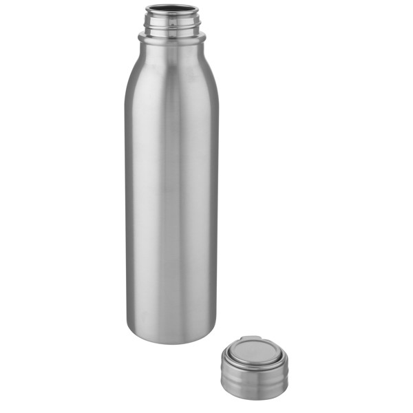 Harper 700 ml stainless steel water bottle with metal loop - Silver